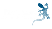 bluellzard - Home